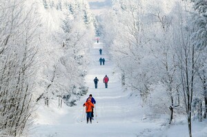 Wintersportler trotzen der Kälte. Foto: picture-alliance
